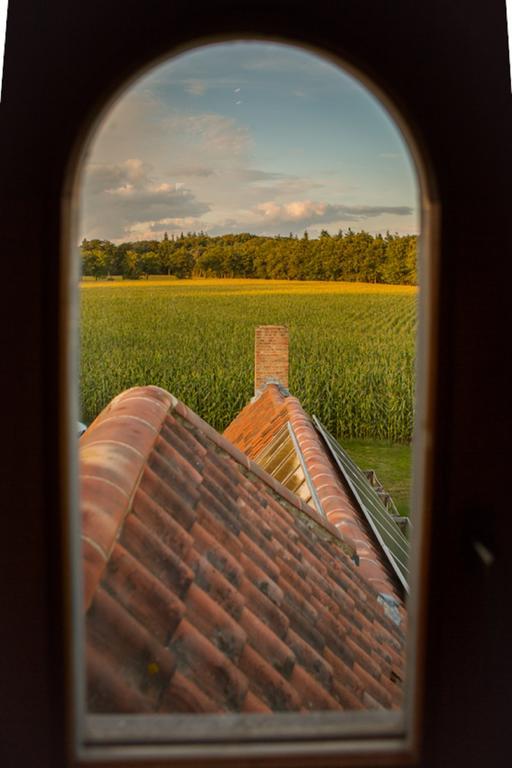 Hof Ter Sysen Villa Loppem Oda fotoğraf